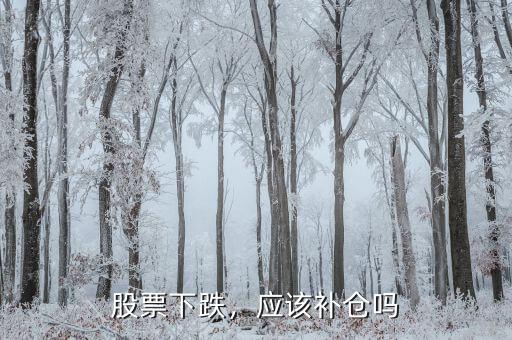 股票下跌，應該補倉嗎