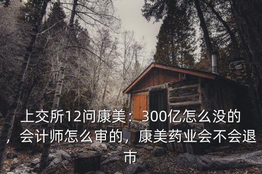 上交所12問康美：300億怎么沒的，會計師怎么審的，康美藥業(yè)會不會退市