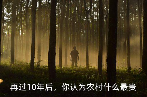 再過10年后，你認為農村什么最貴
