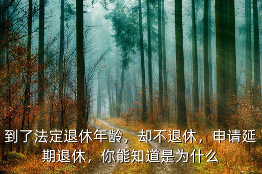 到了法定退休年齡，卻不退休，申請延期退休，你能知道是為什么