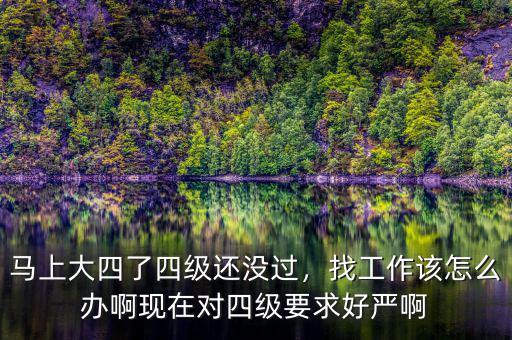 馬上大四了四級還沒過，找工作該怎么辦啊現(xiàn)在對四級要求好嚴啊