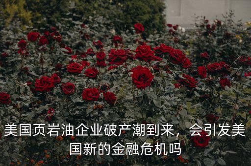 美國頁巖油企業(yè)破產(chǎn)潮到來，會(huì)引發(fā)美國新的金融危機(jī)嗎