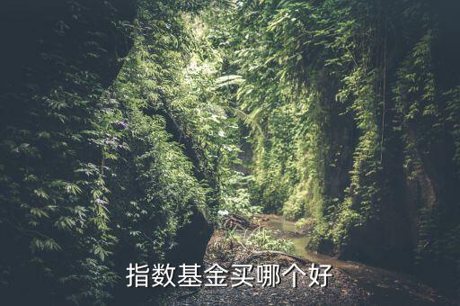指數基金買哪個好