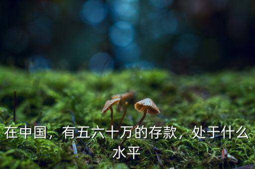 在中國(guó)，有五六十萬(wàn)的存款，處于什么水平