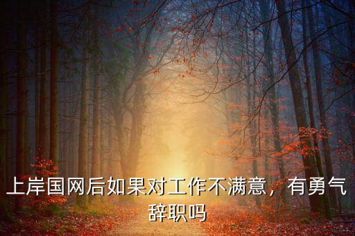 上岸國網(wǎng)后如果對工作不滿意，有勇氣辭職嗎