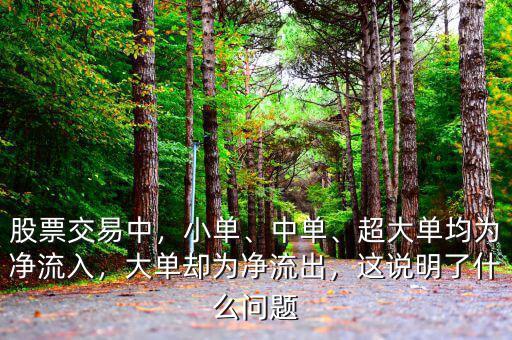 股票交易中，小單、中單、超大單均為凈流入，大單卻為凈流出，這說明了什么問題