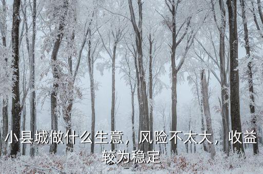 小縣城做什么生意，風險不太大，收益較為穩(wěn)定