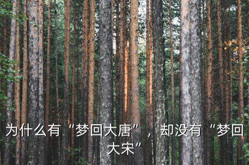 為什么有“夢(mèng)回大唐”，卻沒有“夢(mèng)回大宋”