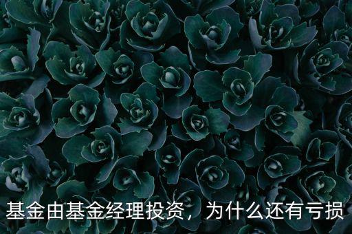 基金由基金經(jīng)理投資，為什么還有虧損