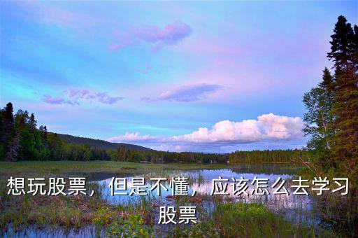 想玩股票，但是不懂，應該怎么去學習股票