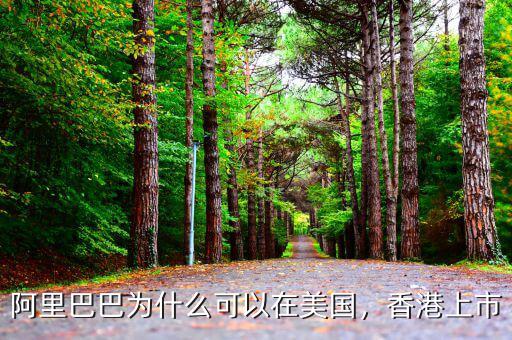 阿里巴巴為什么可以在美國(guó)，香港上市