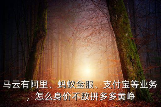 馬云有阿里、螞蟻金服、支付寶等業(yè)務(wù)，怎么身價(jià)不敵拼多多黃崢