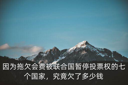 因?yàn)橥锨窌M(fèi)被聯(lián)合國暫停投票權(quán)的七個國家，究竟欠了多少錢