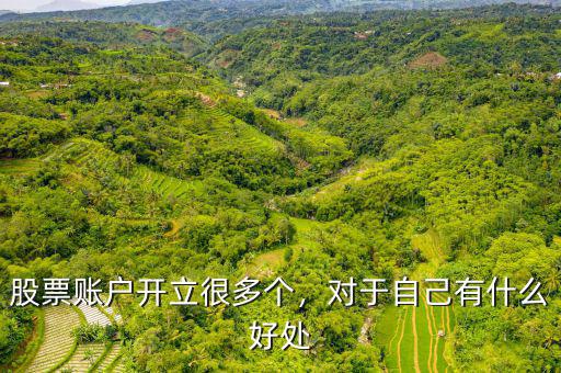 股票賬戶開立很多個，對于自己有什么好處