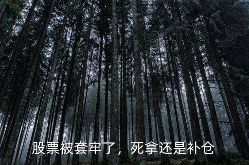 股票被套牢了，死拿還是補(bǔ)倉(cāng)