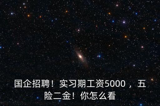 國企招聘！實(shí)習(xí)期工資5000 ，五險(xiǎn)二金！你怎么看