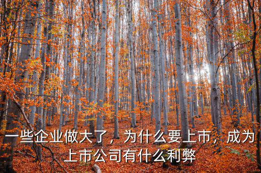 一些企業(yè)做大了，為什么要上市，成為上市公司有什么利弊
