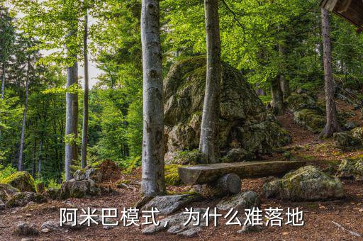 阿米巴模式，為什么難落地