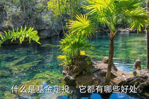 什么是基金定投，它都有哪些好處