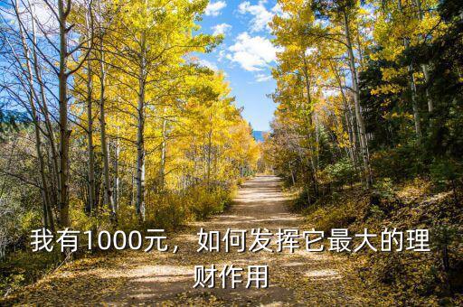 我有1000元，如何發(fā)揮它最大的理財(cái)作用