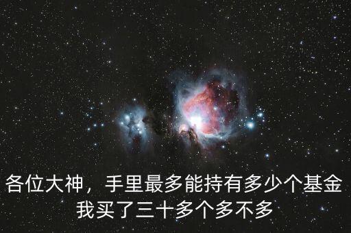 各位大神，手里最多能持有多少個基金我買了三十多個多不多
