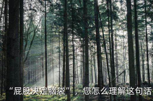 “屁股決定腦袋”，您怎么理解這句話