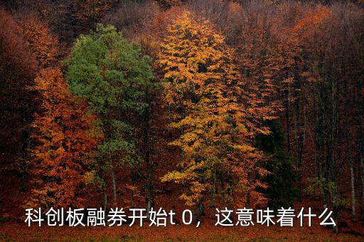 科創(chuàng)板融券開始t 0，這意味著什么