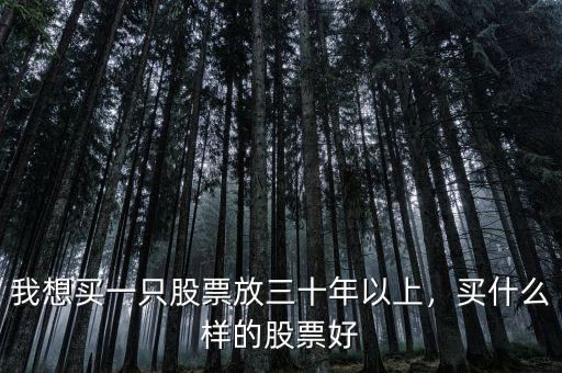 我想買一只股票放三十年以上，買什么樣的股票好