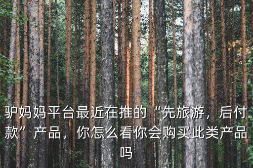驢媽媽平臺最近在推的“先旅游，后付款”產(chǎn)品，你怎么看你會購買此類產(chǎn)品嗎