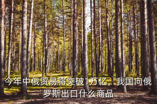 今年中俄貿(mào)易將突破1萬(wàn)億，我國(guó)向俄羅斯出口什么商品