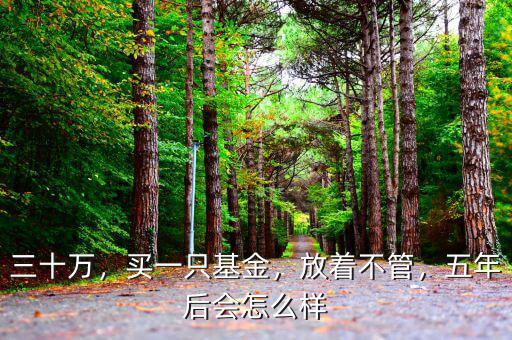 三十萬，買一只基金，放著不管，五年后會怎么樣