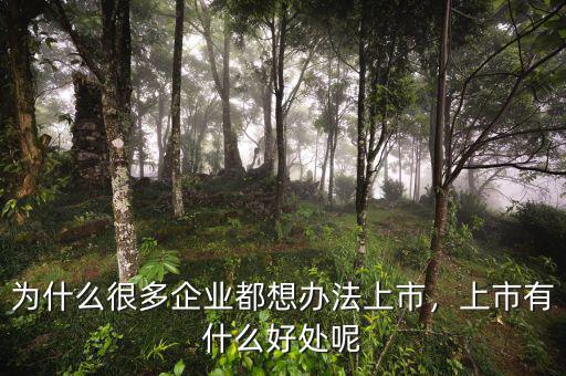 為什么很多企業(yè)都想辦法上市，上市有什么好處呢