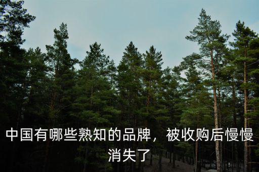 中國有哪些熟知的品牌，被收購后慢慢消失了