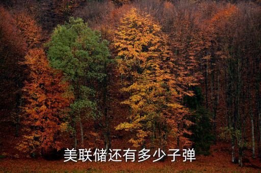 美聯(lián)儲多少個(gè)人,美聯(lián)儲還有多少子彈