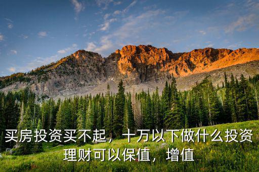 買房投資買不起，十萬以下做什么投資理財可以保值，增值
