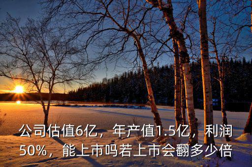 公司估值6億，年產(chǎn)值1.5億，利潤(rùn)50%，能上市嗎若上市會(huì)翻多少倍