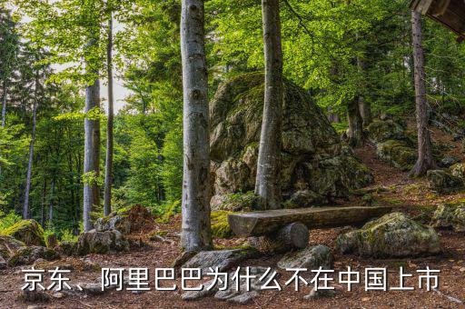 京東、阿里巴巴為什么不在中國上市