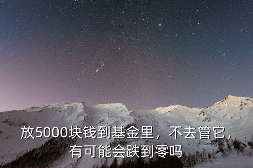 放5000塊錢到基金里，不去管它，有可能會跌到零嗎