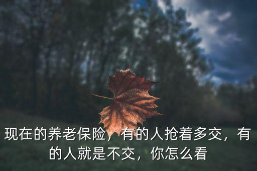 中國有多少人停止交養(yǎng)老保險,現在的養(yǎng)老保險