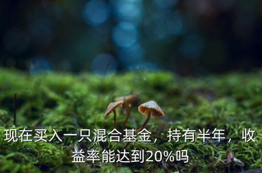 現(xiàn)在買入一只混合基金，持有半年，收益率能達到20%嗎