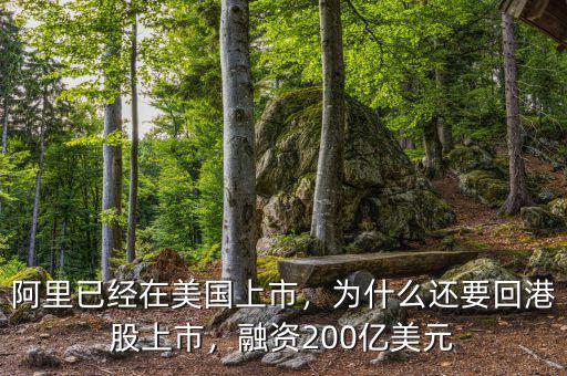 阿里已經(jīng)在美國上市，為什么還要回港股上市，融資200億美元