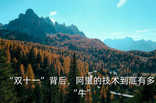 “雙十一”背后，阿里的技術(shù)到底有多“牛”