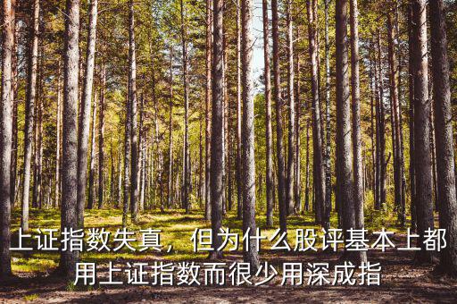 上證指數(shù)失真，但為什么股評(píng)基本上都用上證指數(shù)而很少用深成指