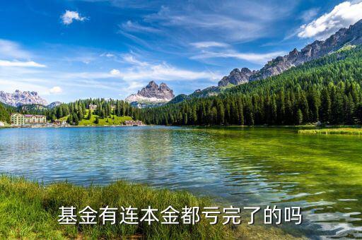 基金本金虧完了怎么辦,基金已虧到本金了。該怎么辦