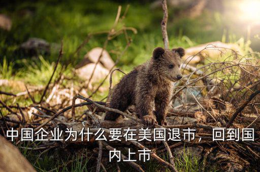 中國(guó)企業(yè)為什么要在美國(guó)退市，回到國(guó)內(nèi)上市