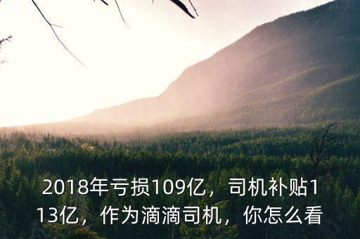 2018年虧損109億，司機(jī)補(bǔ)貼113億，作為滴滴司機(jī)，你怎么看