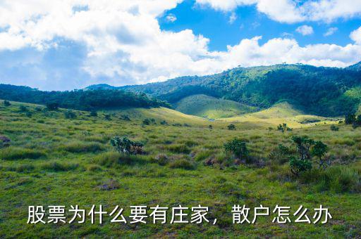 股票為什么要有莊家，散戶怎么辦