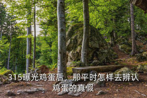 315曝光雞蛋后，那平時怎樣去辨認雞蛋的真假