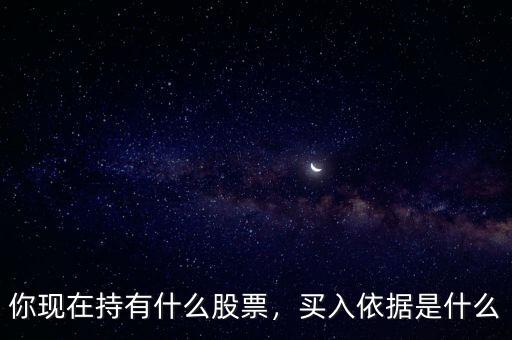 你現(xiàn)在持有什么股票，買入依據(jù)是什么