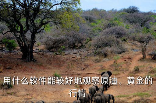 用什么軟件能較好地觀察原油、黃金的行情